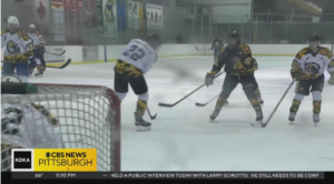 Veterans and sports stars play hockey to raise mental health awareness